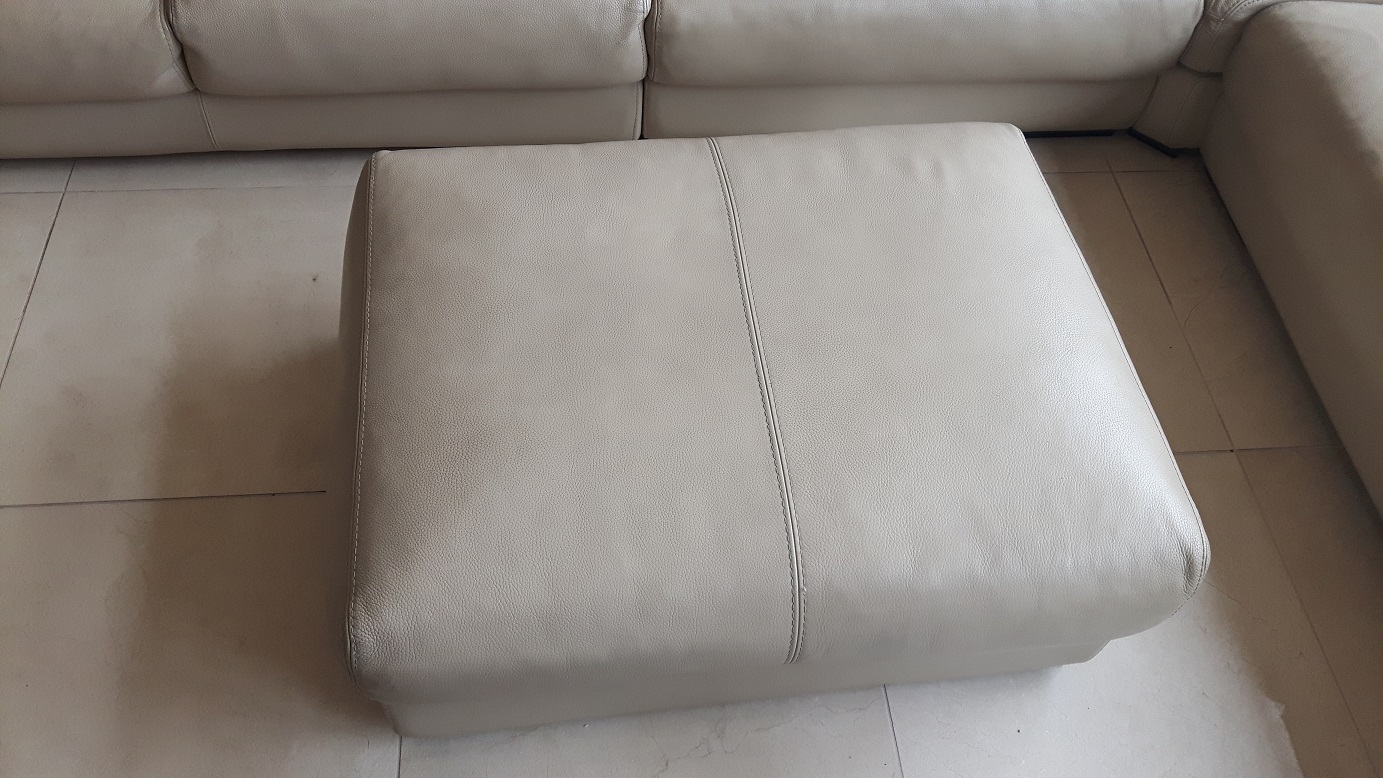 Color Glo clean and condition leather