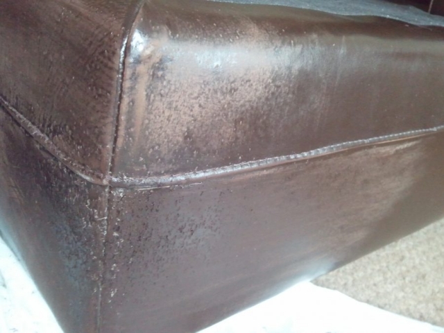 Cat Scratches on leather