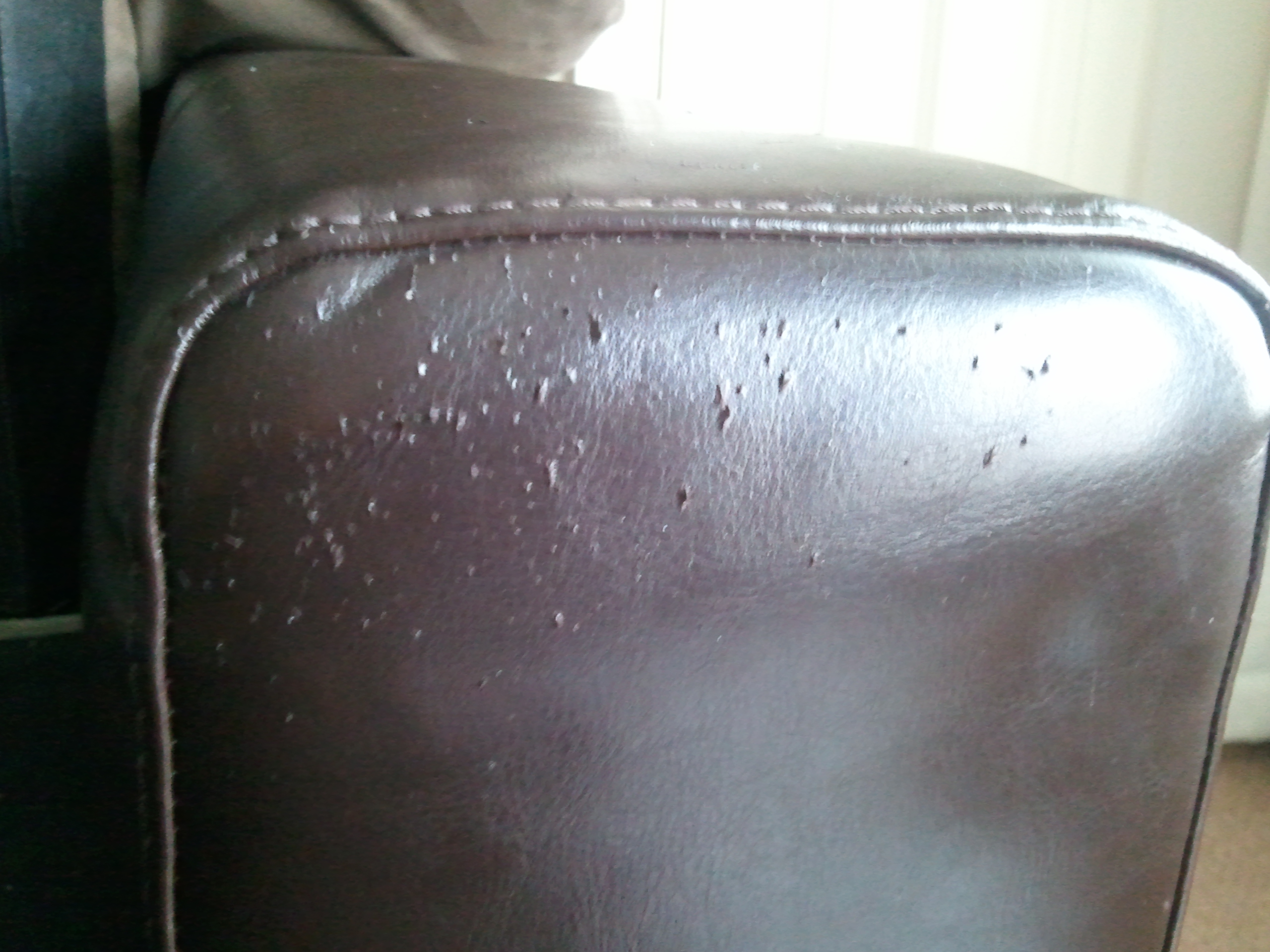 Cat Scratches on leather sofa